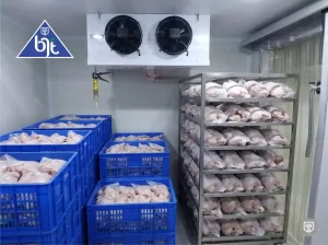 Teknologi Blast Freezer: Solusi Kualitas Yoghurt, Keju, dan Produk Olahan Susu